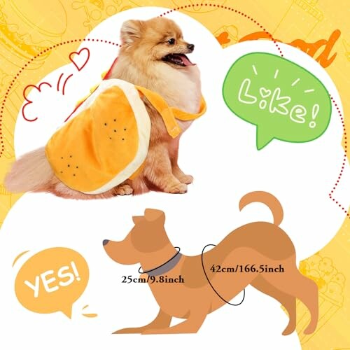 Dog in bread costume with like and yes text graphics.